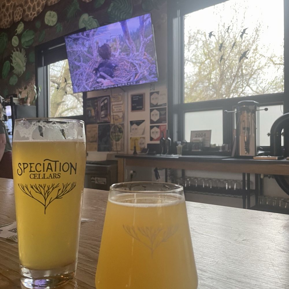 Speciation Artisan Ales - Wineries Near Me - Grand Rapids, Michigan Speciation Artisan Ales - Wineries Near Me - Grand Rapids, Michigan