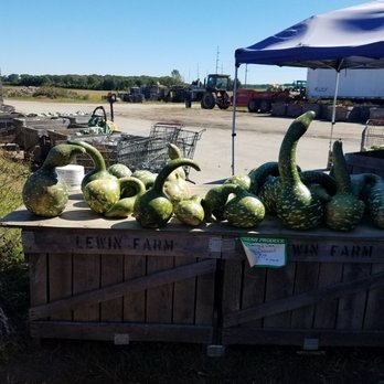 Lewin Farms - Pick Your Own Farms Near Me - Calverton, New York Lewin Farms - Pick Your Own Farms Near Me - Calverton, New York