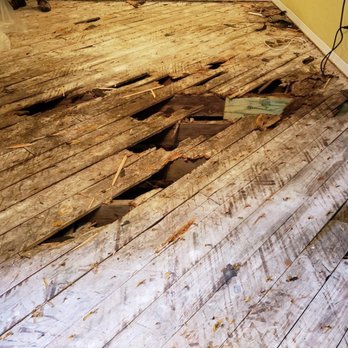 Yeager Flooring - Rotten subfloor due to moisture in the Crawspace - Flooring Near Me - Odessa, Florida Yeager Flooring - Rotten subfloor due to moisture in the Crawspace - Flooring Near Me - Odessa, Florida