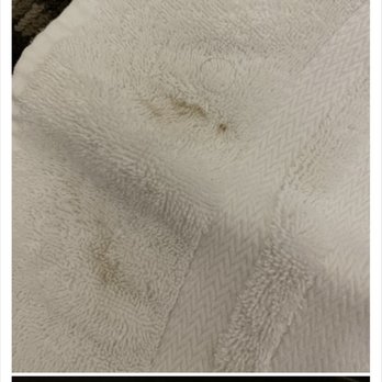 Crowne Plaza Memphis Downtown - Mold, ants, stains - Hotels Near Me - Memphis, Tennessee