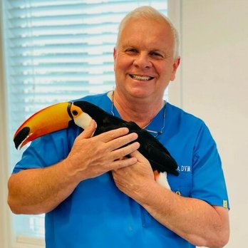 Arab Veterinary Hospital - Veterinarians Near Me - Arab, Alabama Arab Veterinary Hospital - Veterinarians Near Me - Arab, Alabama
