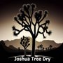 Photo of Joshua Tree Dry