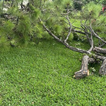 1. The Bless Landscaping
