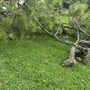 Photo of The Bless Landscaping