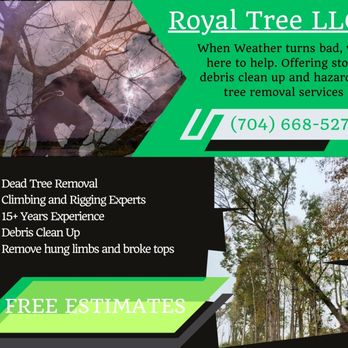 Royal Tree - Tree Services Near Me Royal Tree - Tree Services Near Me