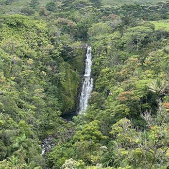 Botanical World Adventures - Waterfall views from line 8. - Botanical Gardens Near Me - Hakalau, Hawaii
