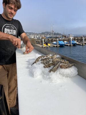 Morro Bay Oyster Company by null