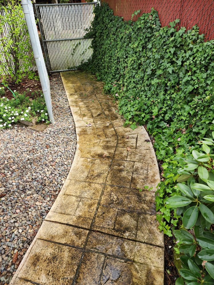 CLEAN ABOVE 57 Photos Eugene, Oregon Gutter Services Phone