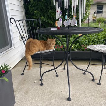 Zen Cafe - Cafes Near Me - Put-in-Bay, Ohio Zen Cafe - Cafes Near Me - Put-in-Bay, Ohio