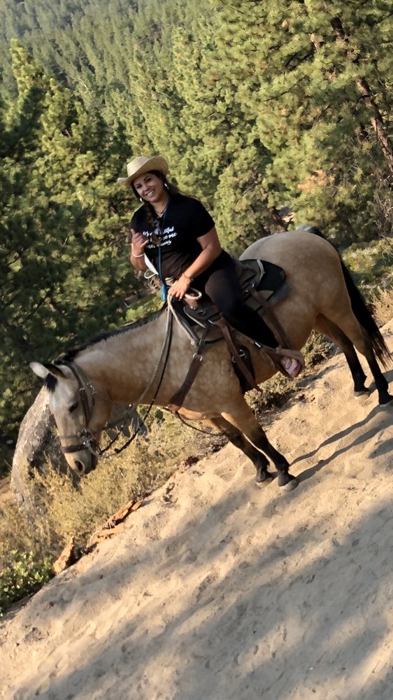 ZEPHYR COVE STABLES TEMP. CLOSED 185 Photos & 177 Reviews