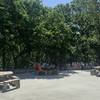 TreeRush Adventures at Fontenelle Forest - Challenge Courses Near Me - Bellevue, Nebraska TreeRush Adventures at Fontenelle Forest - Challenge Courses Near Me - Bellevue, Nebraska
