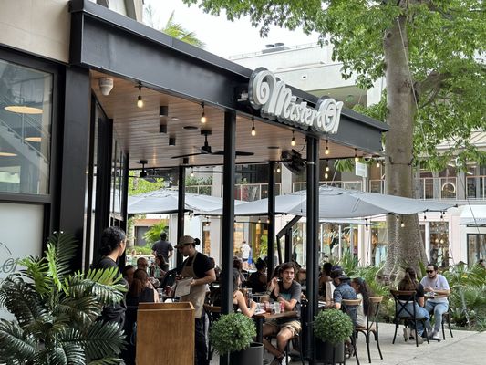 Mister O1 Extraordinary Pizza - Coconut Grove by null