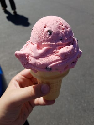 Butterfield's Ice Cream by null