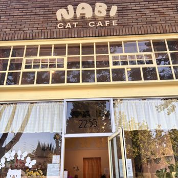 Nabi Cat Cafe - Exterior - Themed Cafes Near Me - Santa Clara, California Nabi Cat Cafe - Exterior - Themed Cafes Near Me - Santa Clara, California