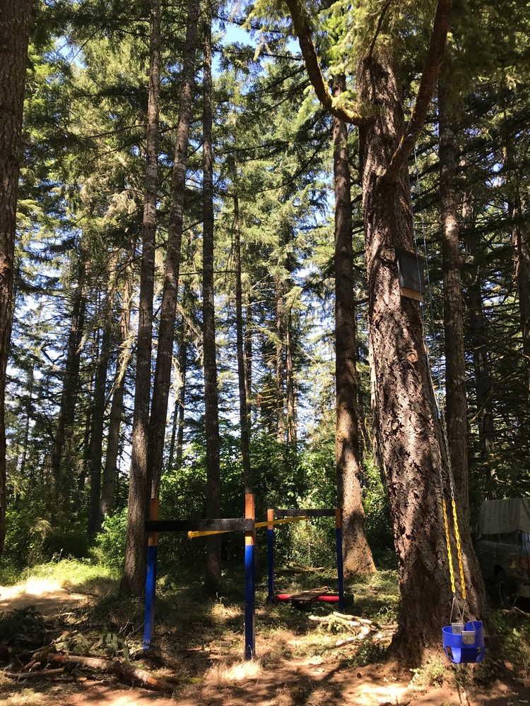SUPERIOR TREE SERVICE 1120 Maple Dr, Eugene, Oregon Updated March 2024 Tree Services