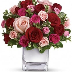 Orchid Flower Shop - Love Medley (T400-2A)