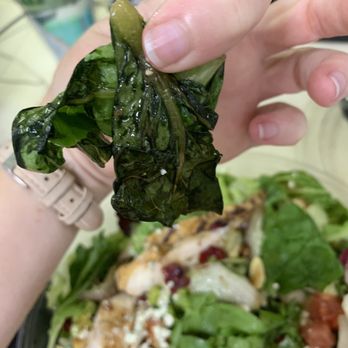 McAlister's Deli - Rotten lettuce - Delis Near Me - Midwest City, Oklahoma McAlister's Deli - Rotten lettuce - Delis Near Me - Midwest City, Oklahoma