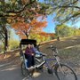 Biking Central Park