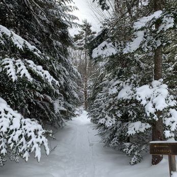 Whiteface Lodge - Trails - Resorts Near Me - Lake Placid, New York