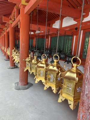 Kasugataisha Shrine by null