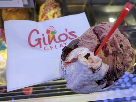 Gino's Gelato | Traditional Homemade Italian Ice Cream by null