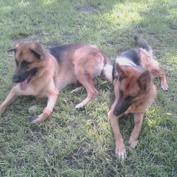 Coconut Grove Dog Walker - Just resting... - Pet Sitting Near Me - Miami, Florida Coconut Grove Dog Walker - Just resting... - Pet Sitting Near Me - Miami, Florida