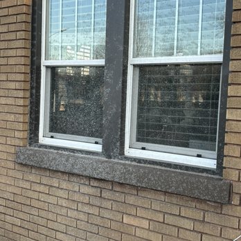All Green Site Management - Hydroseed all over my windows in a place it wasn't even being applied to the ground. - Lawn Services Near Me - Rock island, Illinois