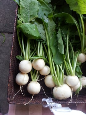Easton Farmers' Market by null