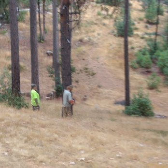 Jason's Family Tree Service - Tree Services Near Me - Placerville, California Jason's Family Tree Service - Tree Services Near Me - Placerville, California