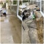 Photo of The Pressure Washing Guys