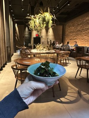 GOGYO Gramercy by null