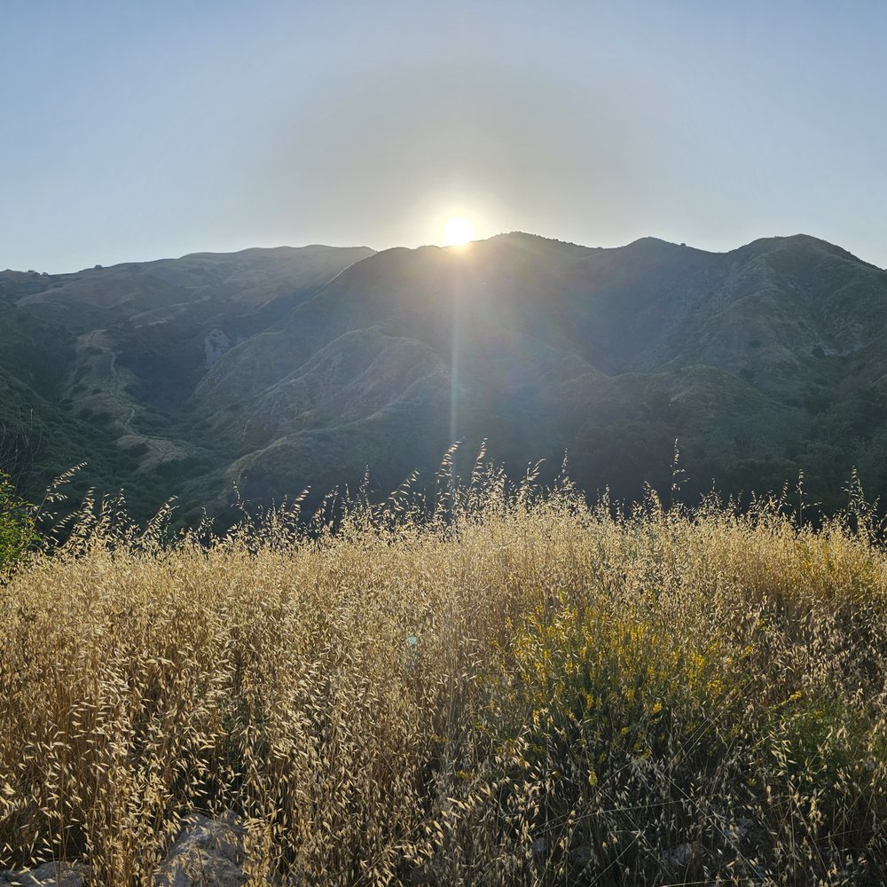 View east towards the Santa Susana sierra.
