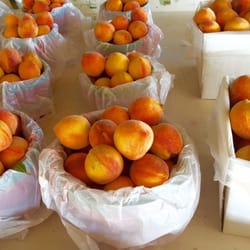 West Monroe Farmer's Market - Peaches galore!