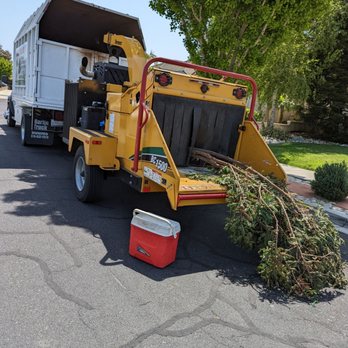 Roger's Tree Service - Tree Services Near Me Roger's Tree Service - Tree Services Near Me