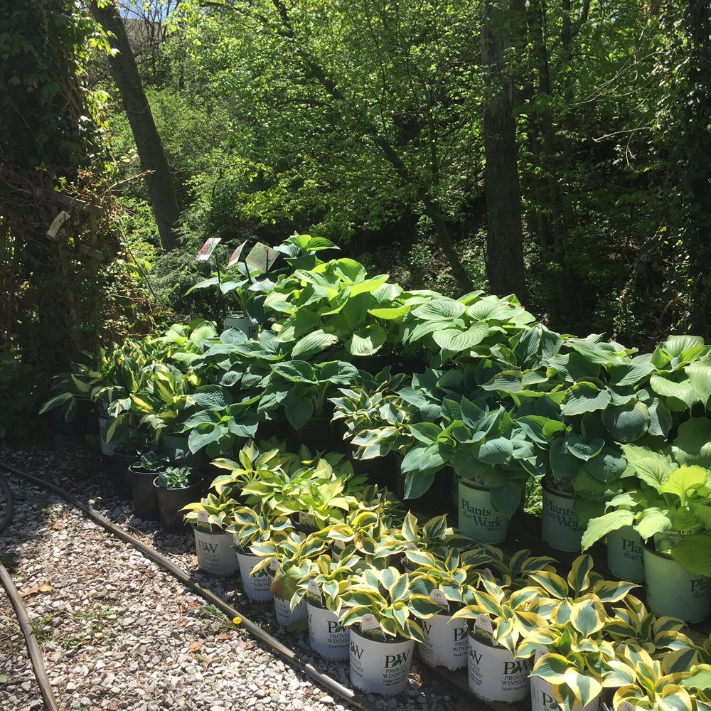 Top 10 Best Nurseries & Gardening near Danville, IN - Last Updated