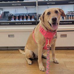 Ulta Beauty