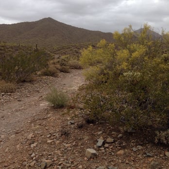 Lost Dog Wash Trail - Hiking Near Me - Scottsdale, Arizona Lost Dog Wash Trail - Hiking Near Me - Scottsdale, Arizona
