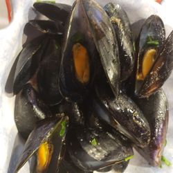 Scialati - Local mussels- so fresh!