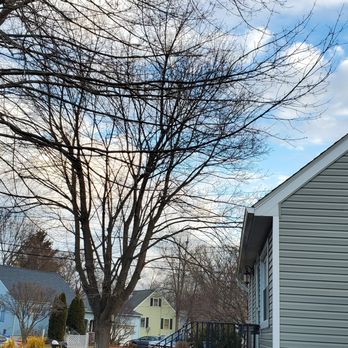 Knock on Wood Tree Service - Tree Services Near Me - Belvidere, New Jersey Knock on Wood Tree Service - Tree Services Near Me - Belvidere, New Jersey