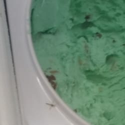 Baskin-Robbins