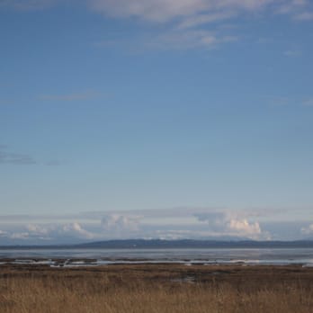 Boundary Bay Dyke Trail - nice view - Parks Near Me - Delta, British Columbia