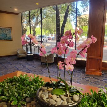 Austin Southpark Hotel - Real! - Hotels Near Me - Austin, Texas