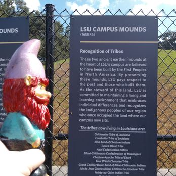 Louisiana State University - Colleges & Universities Near Me Louisiana State University - Colleges & Universities Near Me