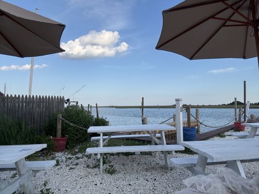 Barnegat Oyster Collective by null