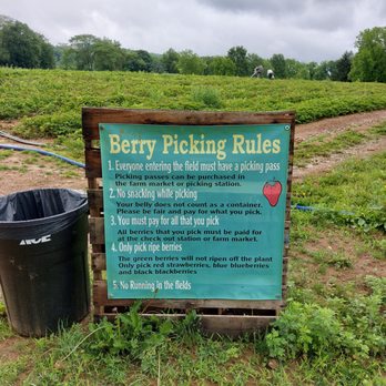 Von Thun Farms - Berry Picking Rules - Attraction Farms Near Me - Washington, New Jersey