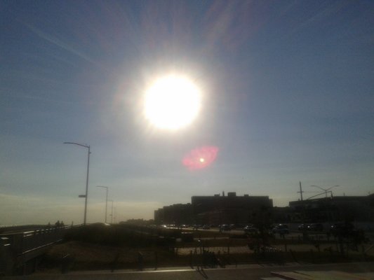 Low Tide Bar by null