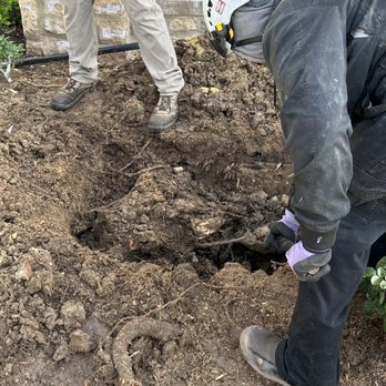 Premier Tree Experts - This company didn't remove the stump like we discussed. - Tree Services Near Me - Orange, California