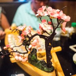 UMI Sushi