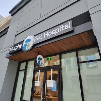 Murphy Pet Hospital - Veterinarians Near Me - Sunnyvale, California Murphy Pet Hospital - Veterinarians Near Me - Sunnyvale, California