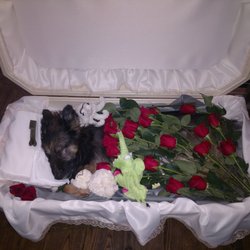 Tracy area animal rescue - My beloved Kira after passing